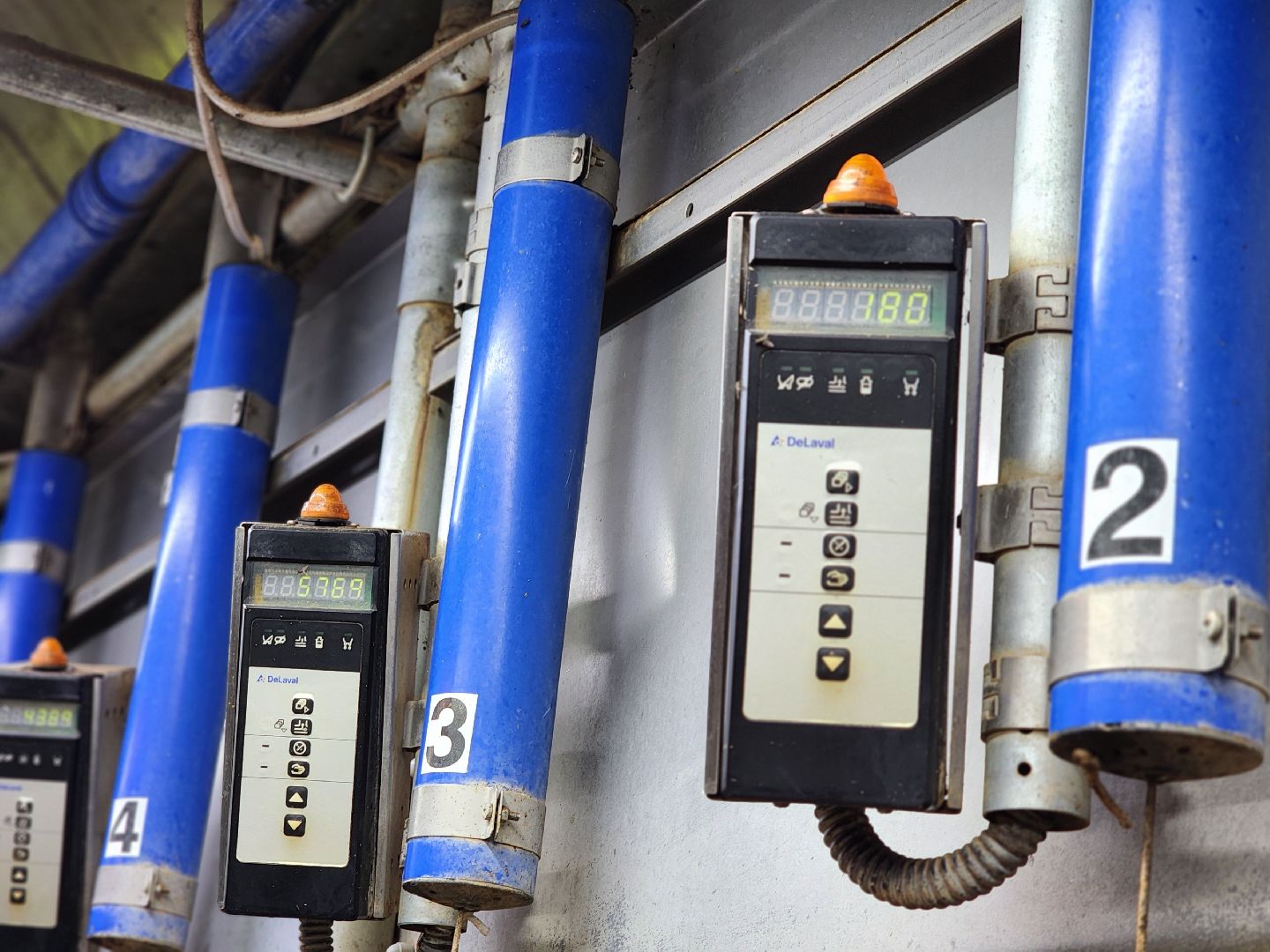 Луховицы, сельское хозяйство, вертикалки,