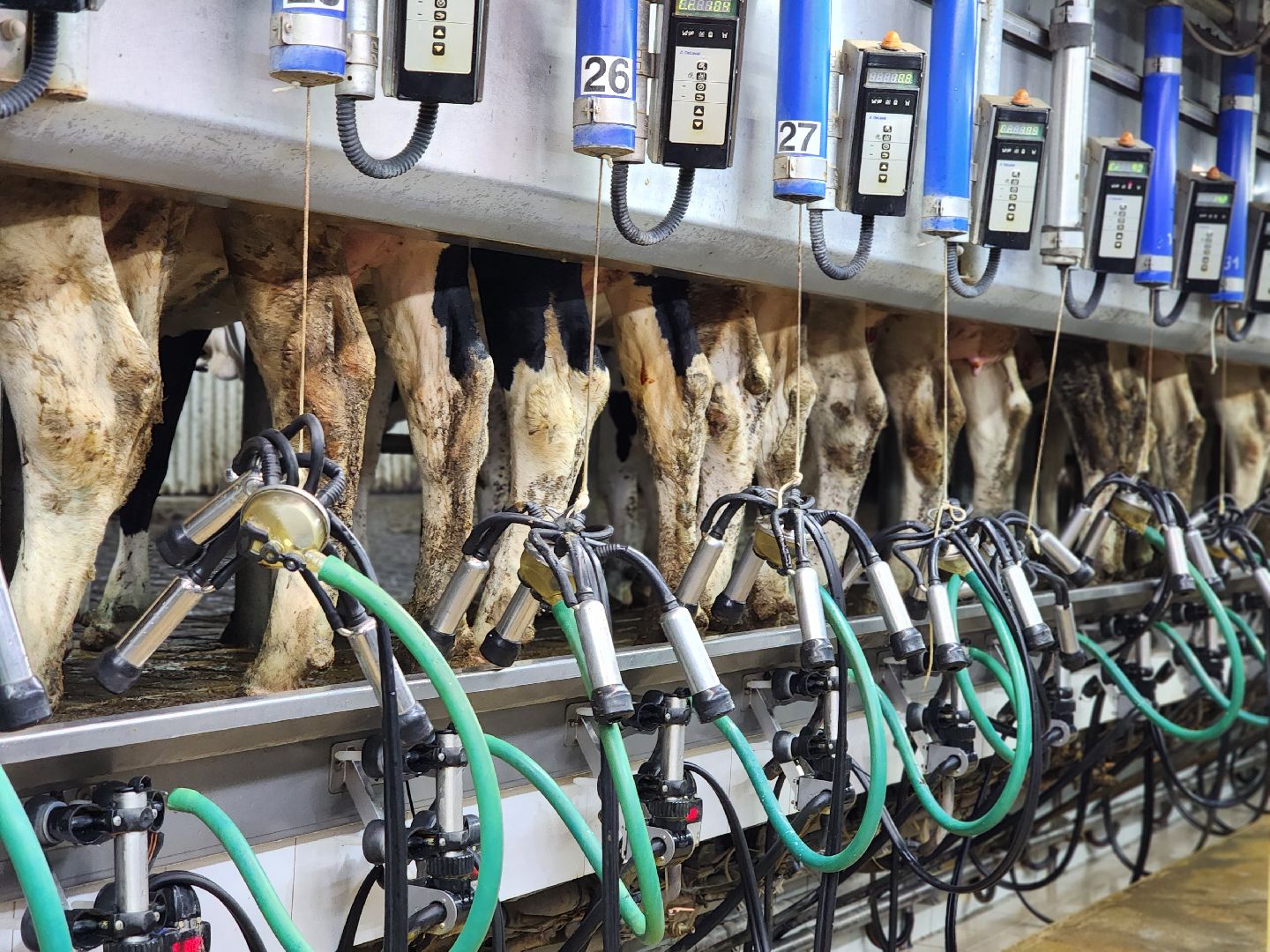 Луховицы, сельское хозяйство, вертикалки,