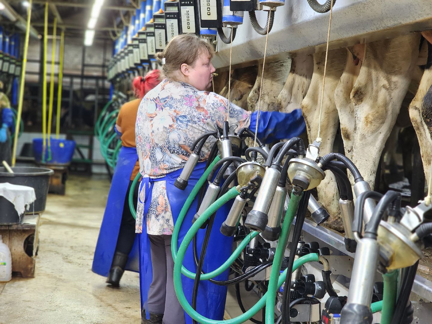 Луховицы, сельское хозяйство, вертикалки,