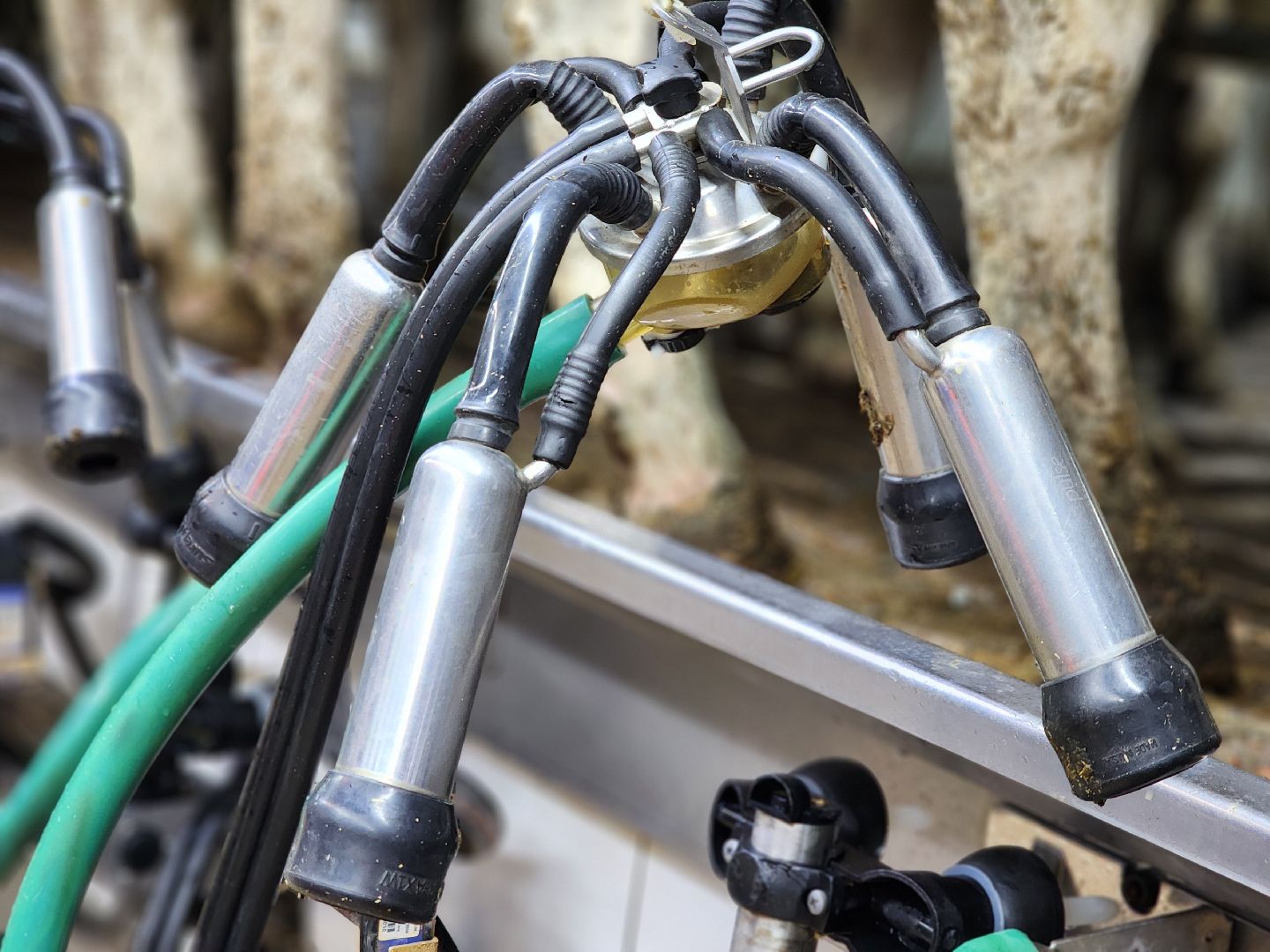 Луховицы, сельское хозяйство, вертикалки,