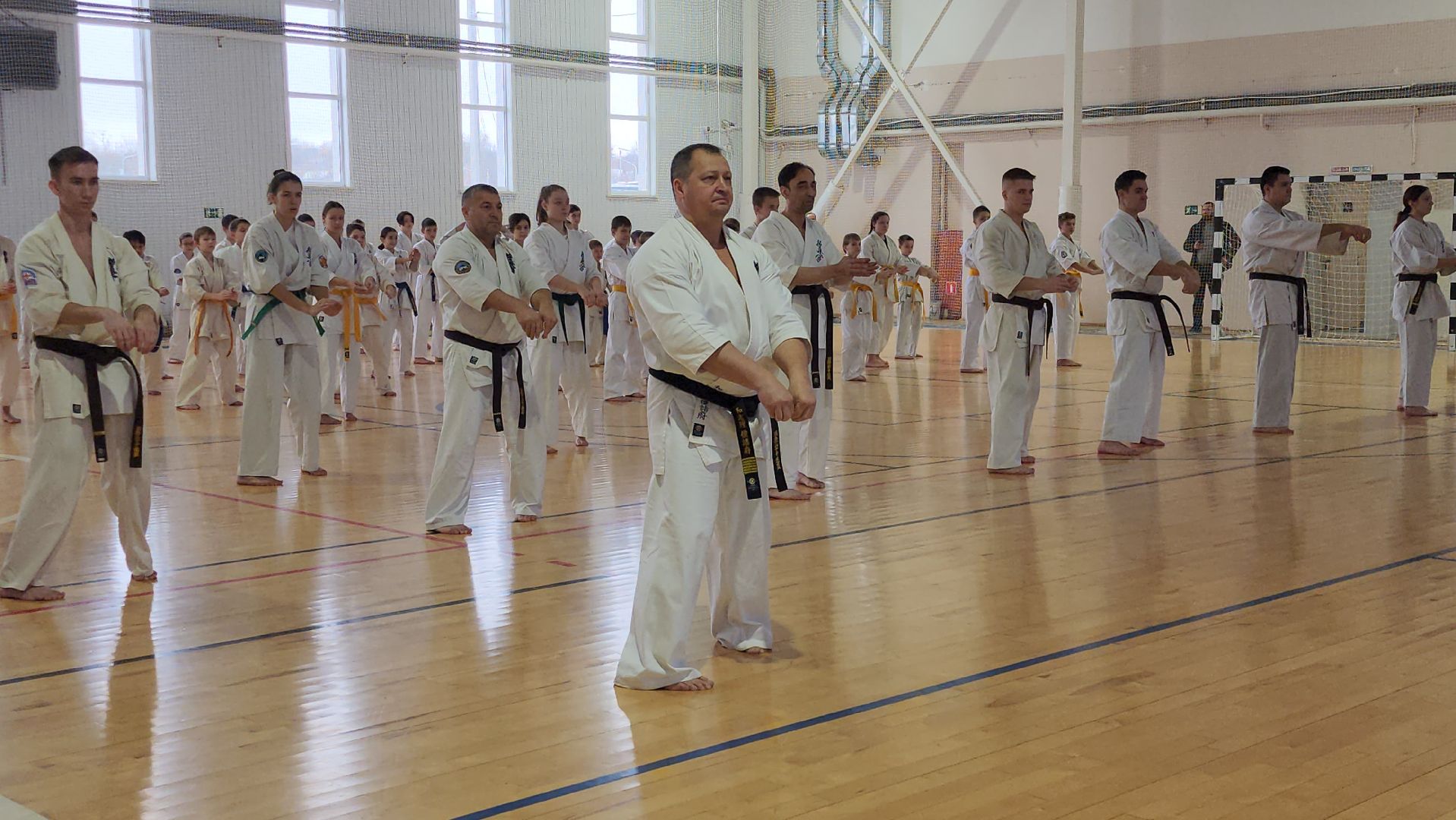 Луховицы, спорт,