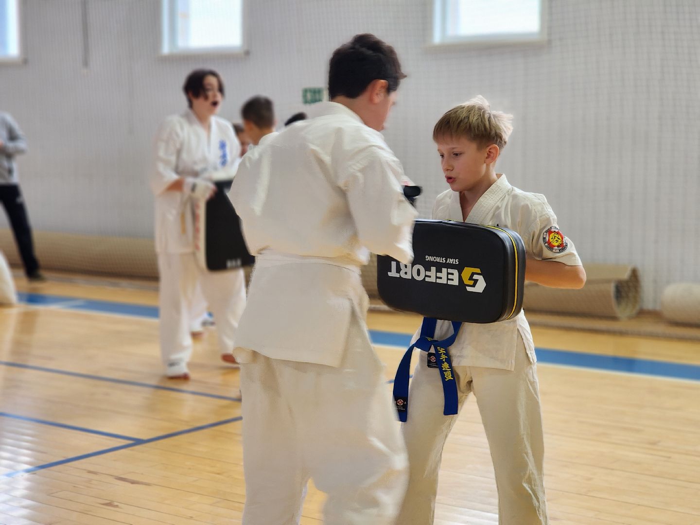 Луховицы, спорт,