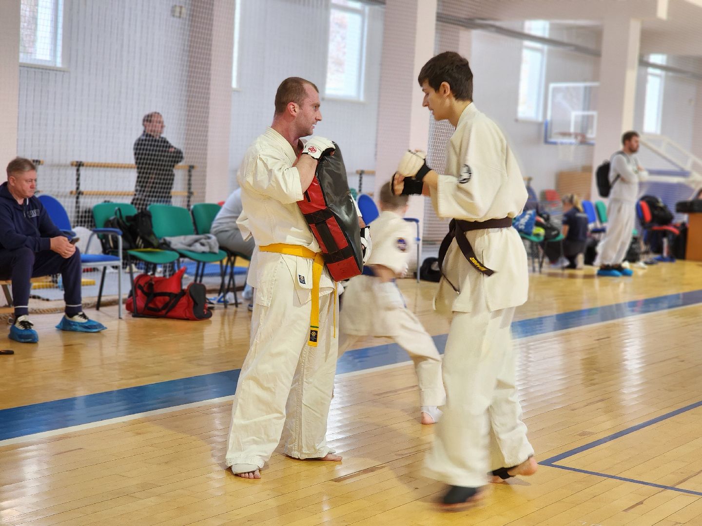 Луховицы, спорт,