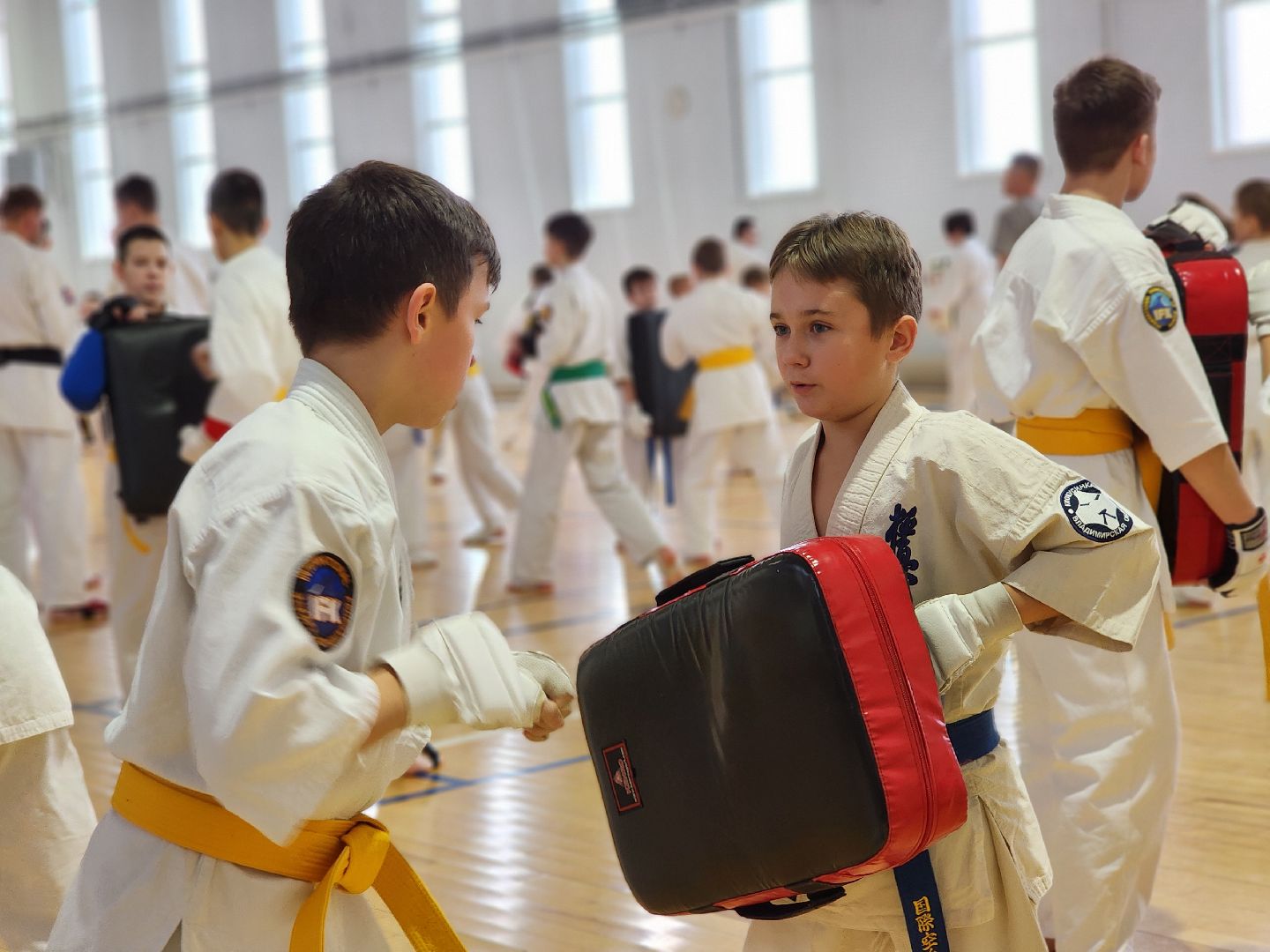 Луховицы, спорт,