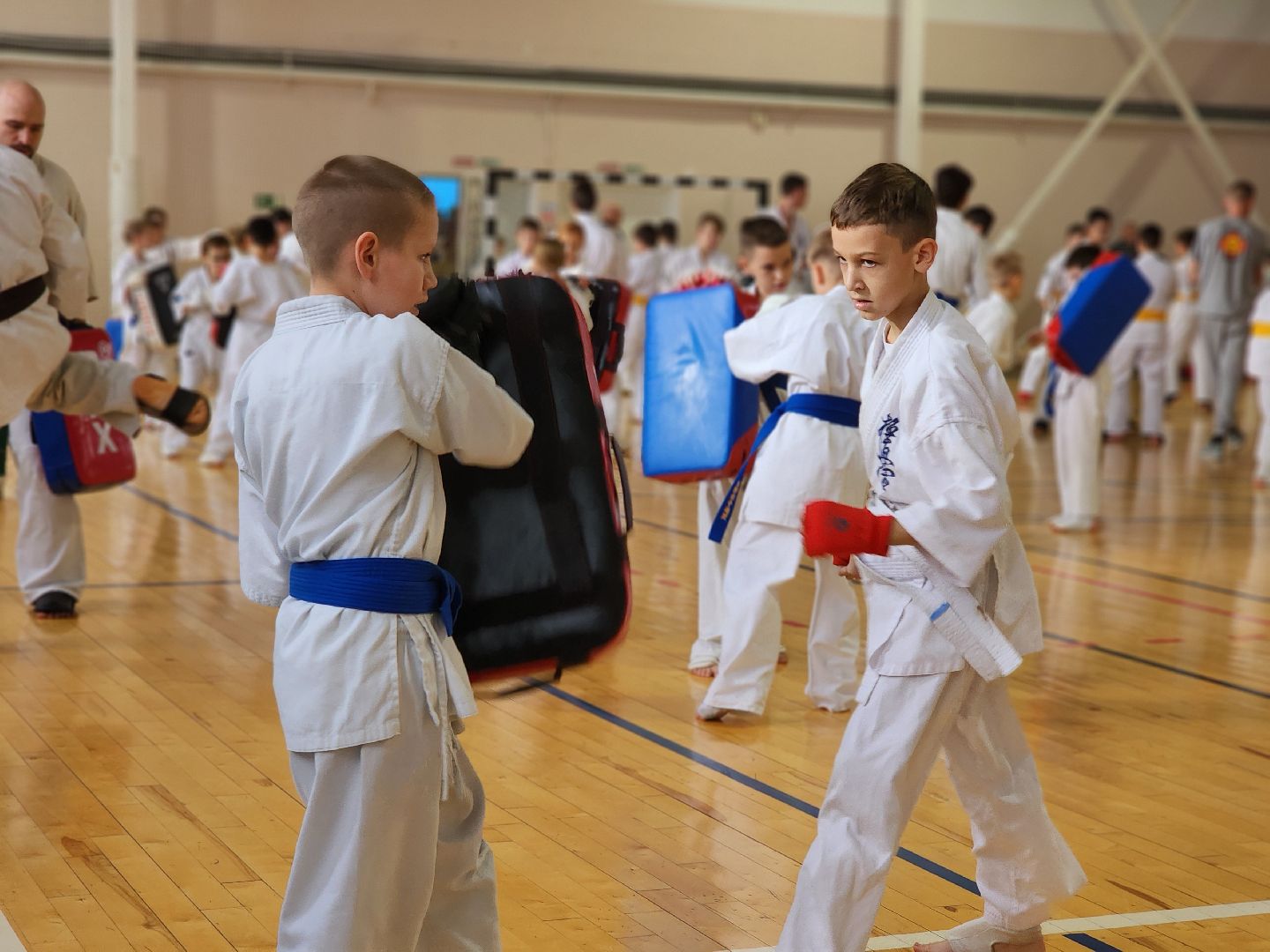 Луховицы, спорт,