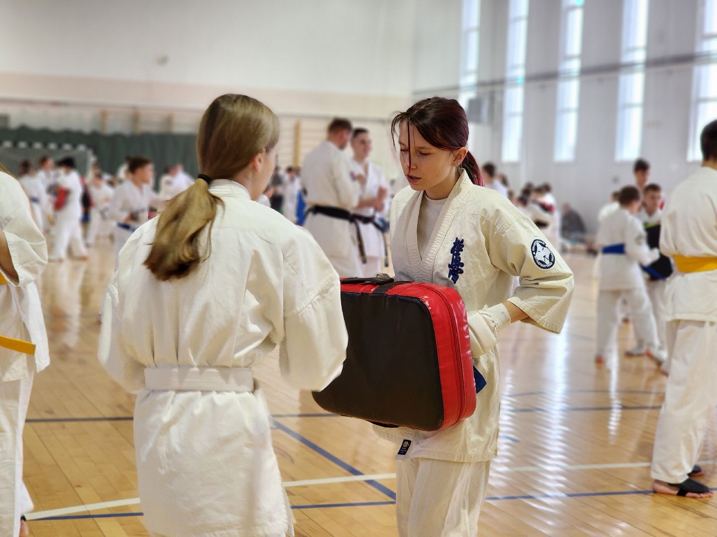 Луховицы, спорт,