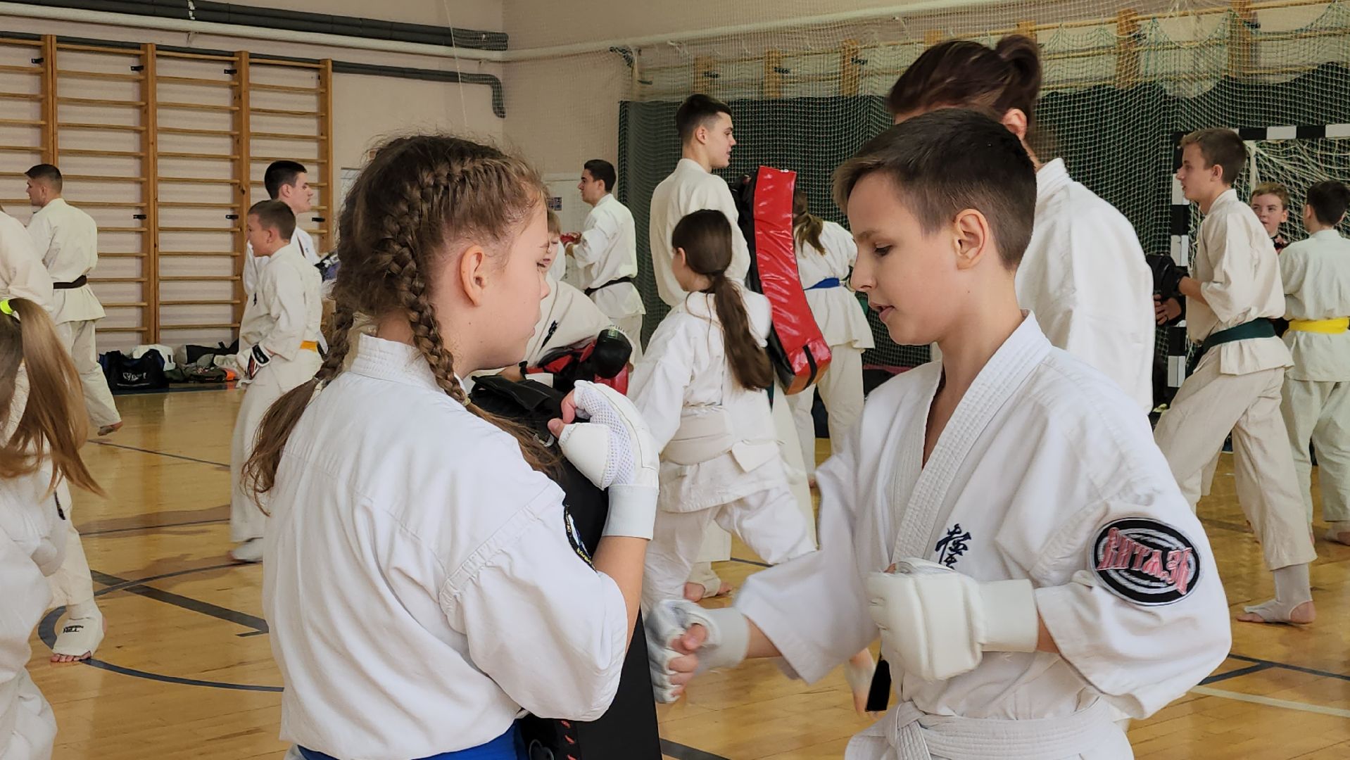 Луховицы, спорт,