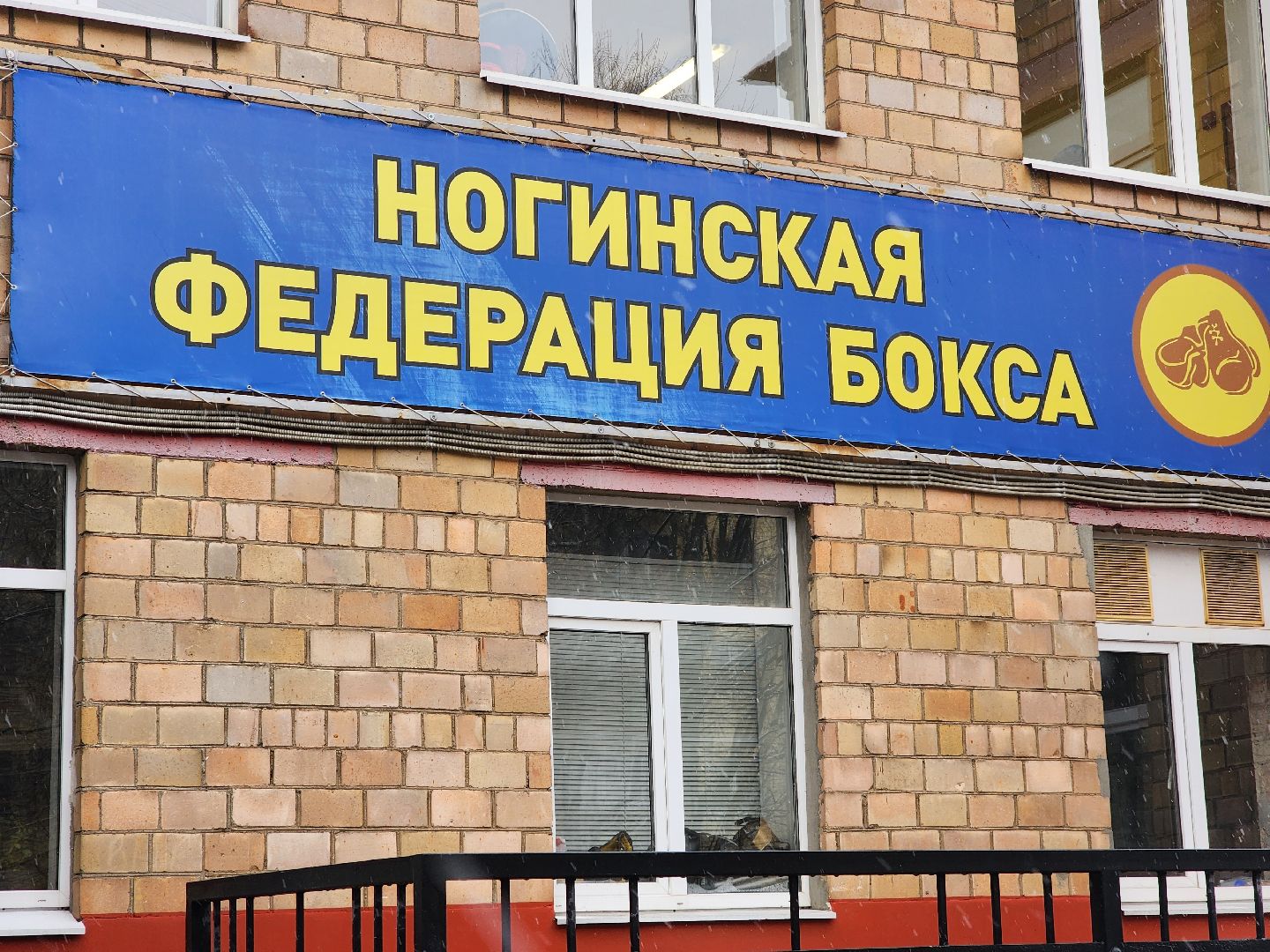 спорт, бокс, чемпионат России по боксу, ногинск, жители, общество, победитель, золотая медаль, спортсмен,