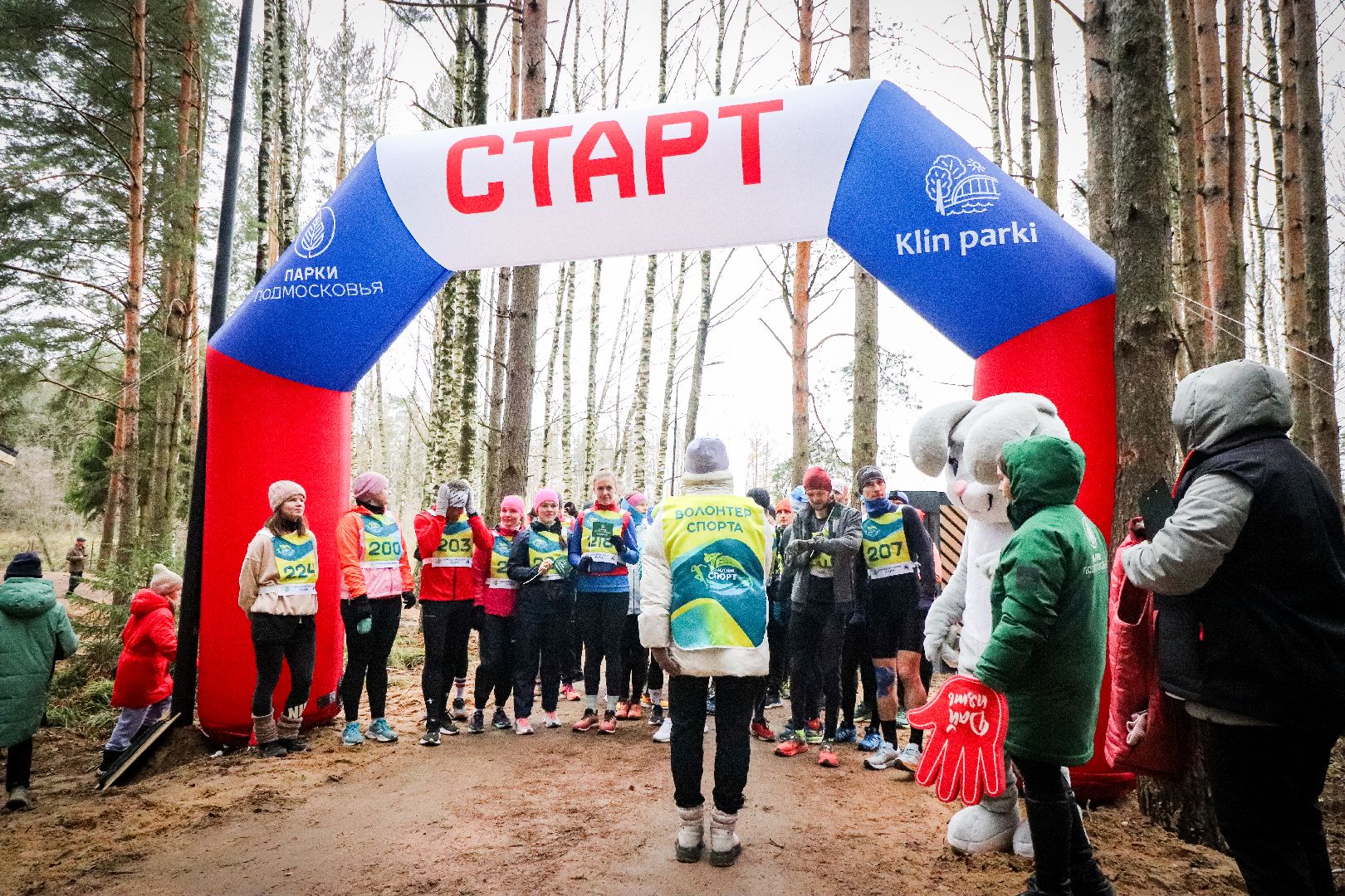 Клин, общество, спорт, культура, благоустройство, лесопарк, вертикалки,