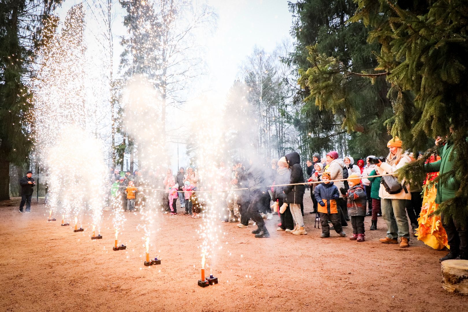 Клин, общество, спорт, культура, благоустройство, лесопарк, вертикалки,