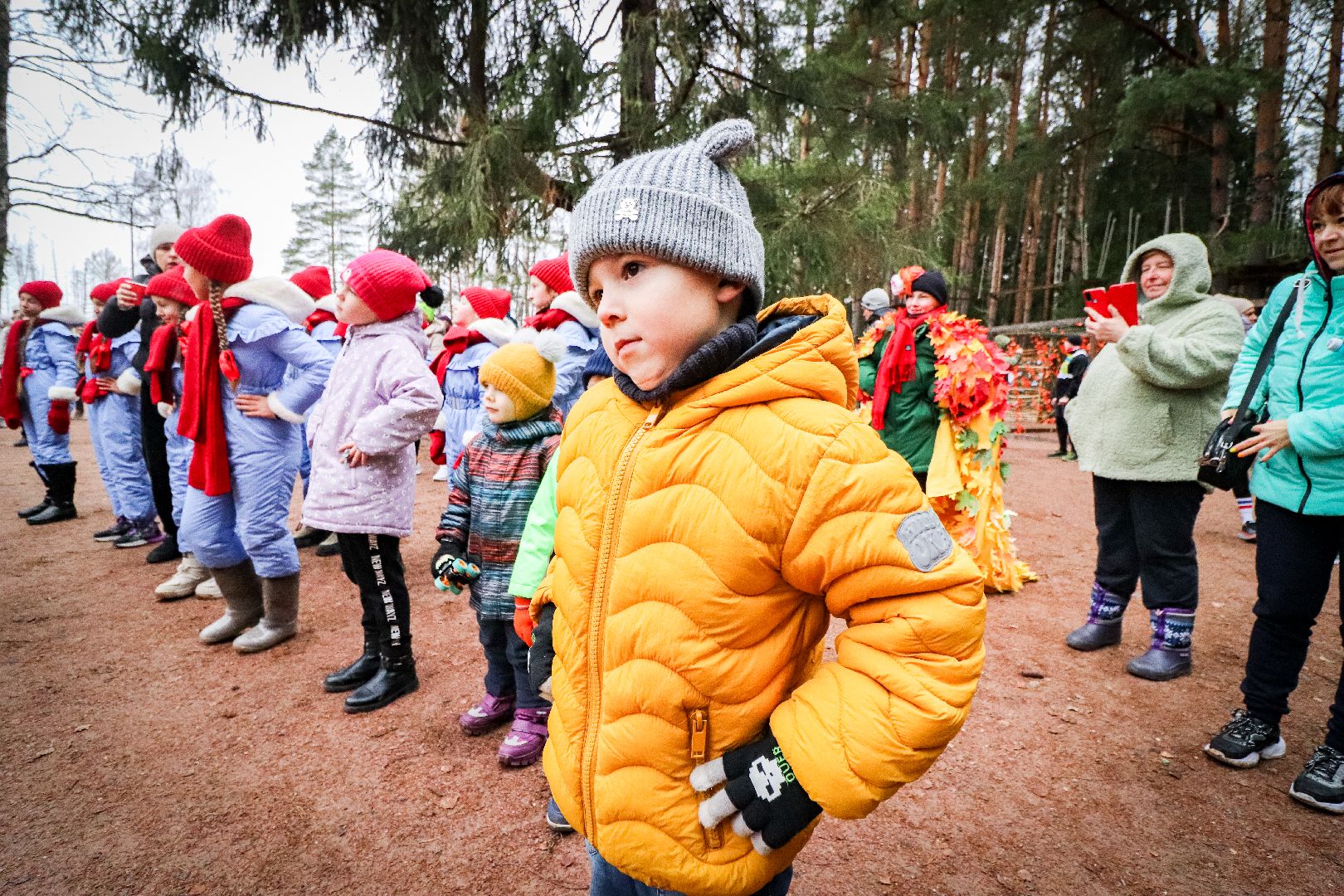 Клин, общество, спорт, культура, благоустройство, лесопарк, вертикалки,