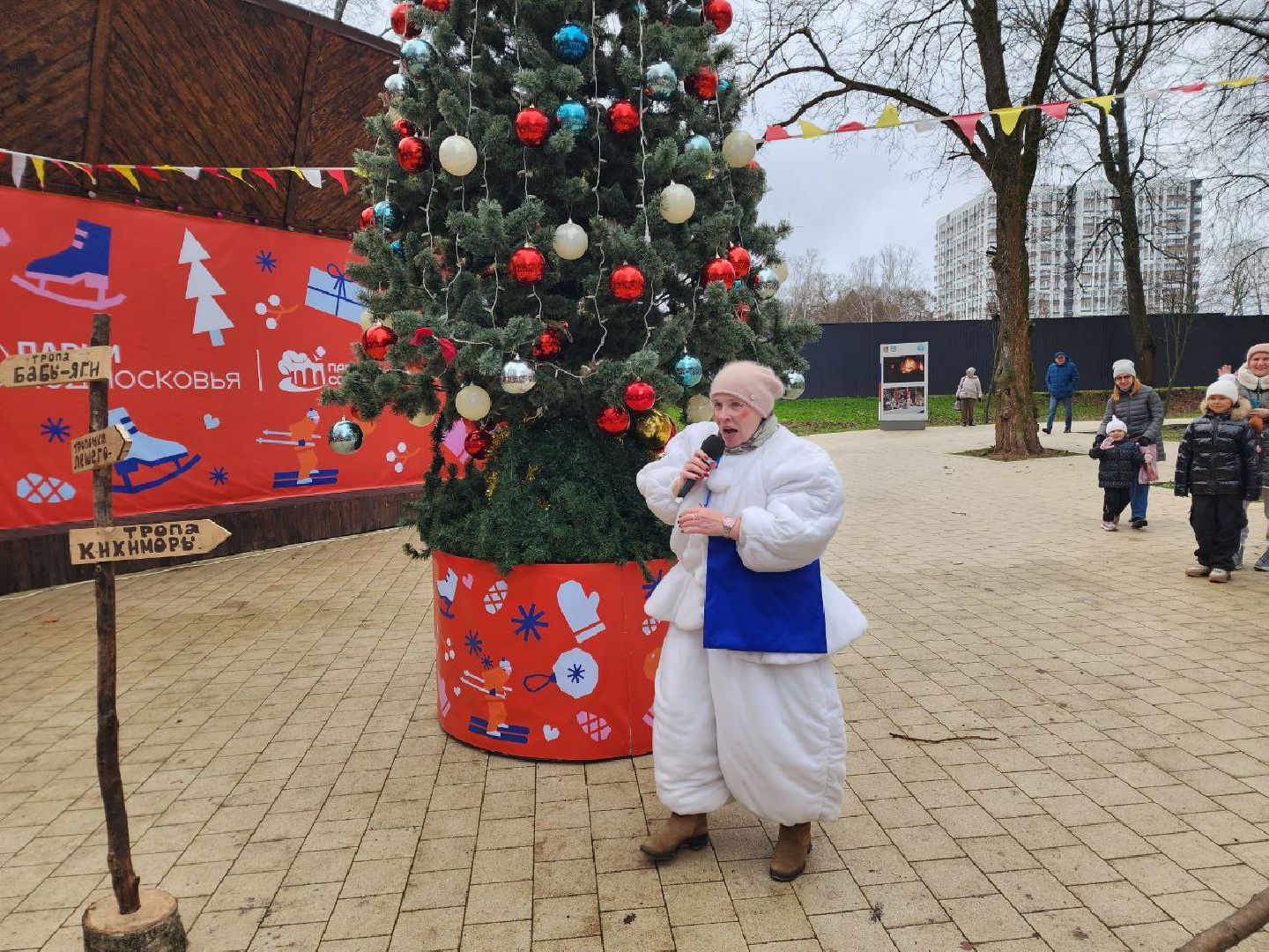 Солнечногорск, Городской парк, Праздник, Жители, день рождения деда мороза, вертикалки,