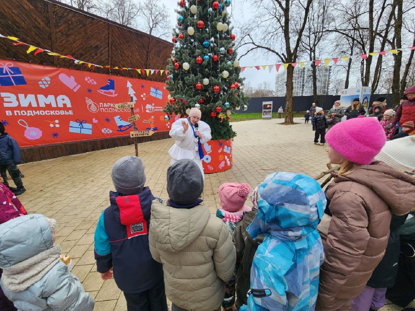 Солнечногорск, Городской парк, Праздник, Жители, день рождения деда мороза, вертикалки,