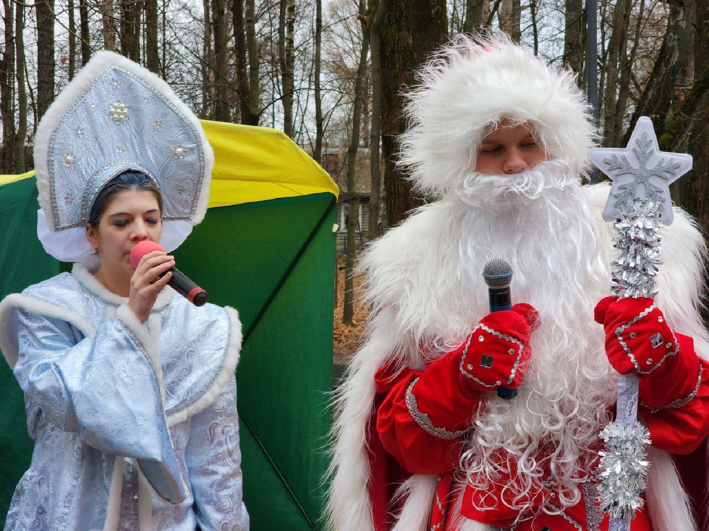 Солнечногорск, Городской парк, Праздник, Жители, день рождения деда мороза, вертикалки,