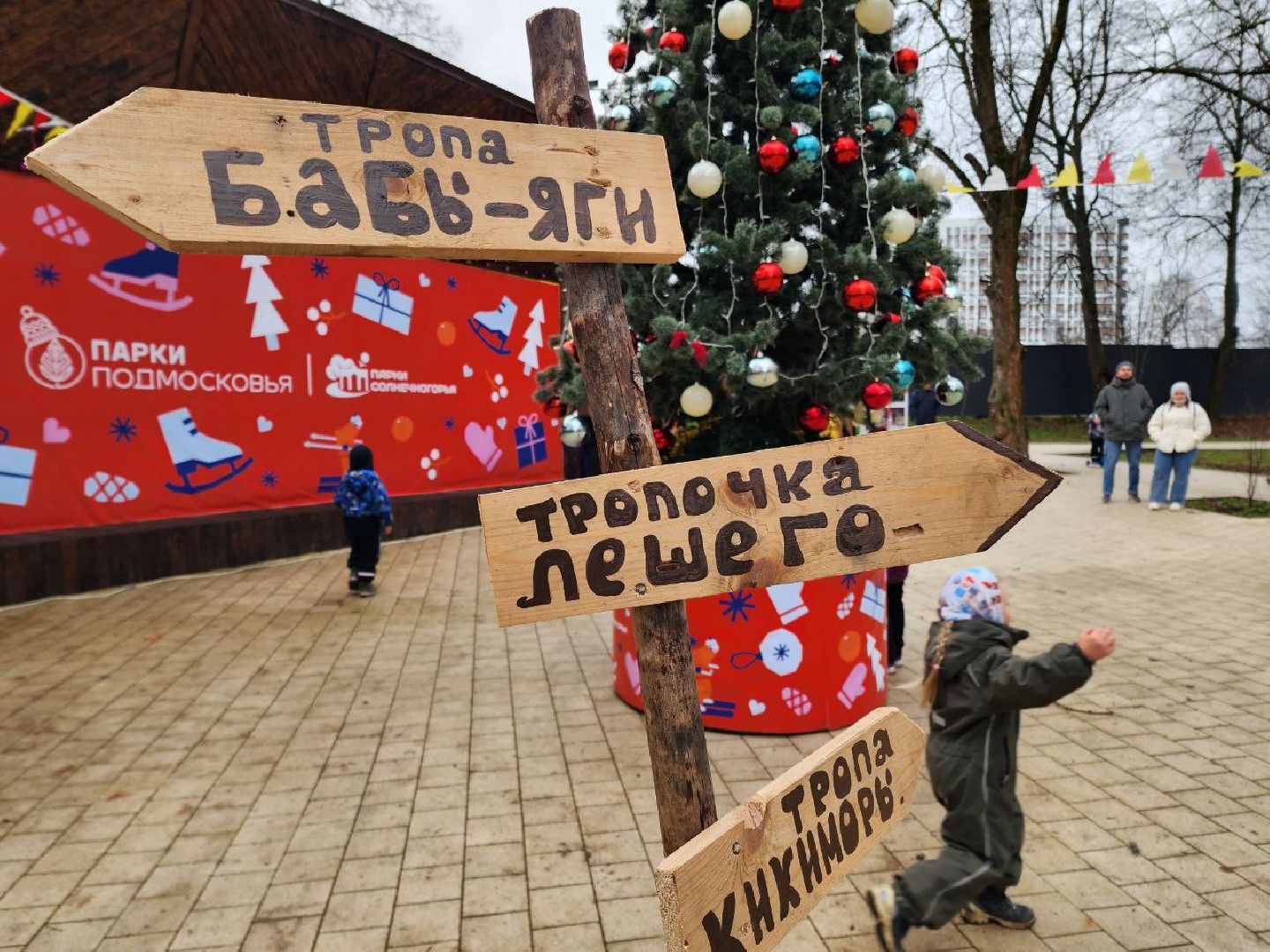 Солнечногорск, Городской парк, Праздник, Жители, день рождения деда мороза, вертикалки,