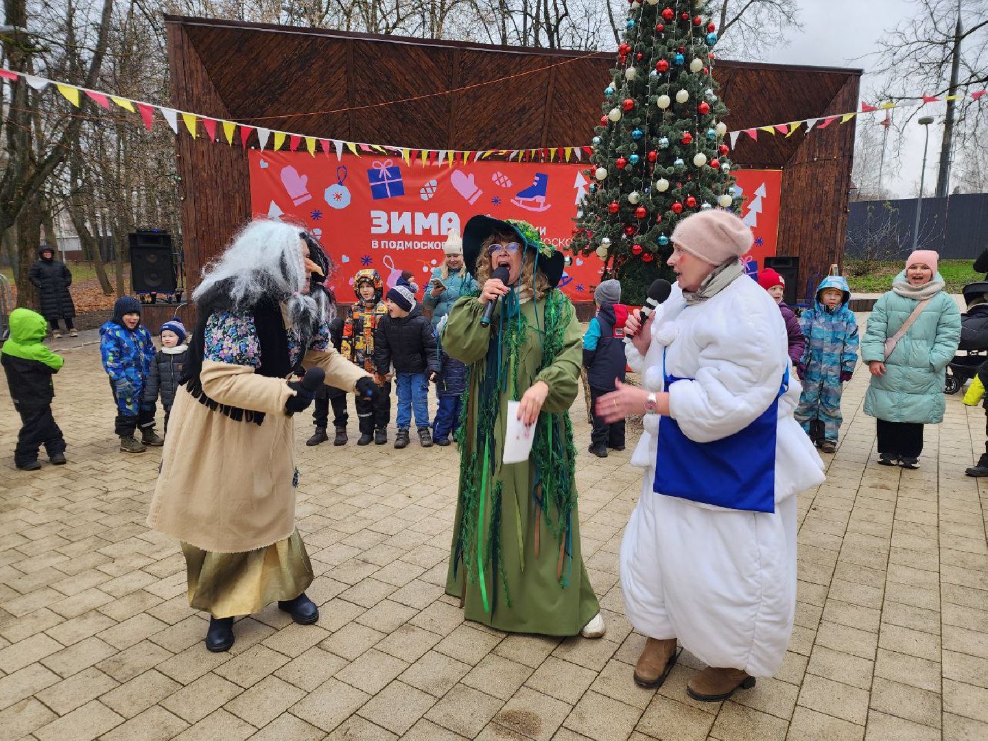 Солнечногорск, Городской парк, Праздник, Жители, день рождения деда мороза, вертикалки,