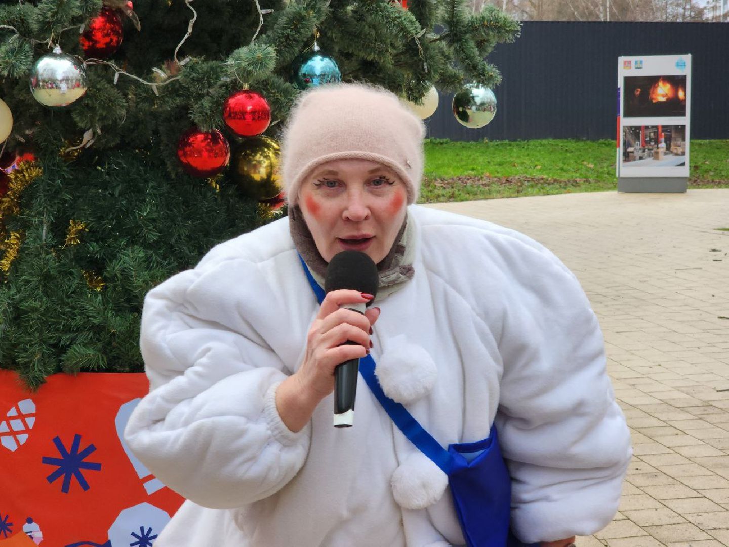 Солнечногорск, Городской парк, Праздник, Жители, день рождения деда мороза, вертикалки,