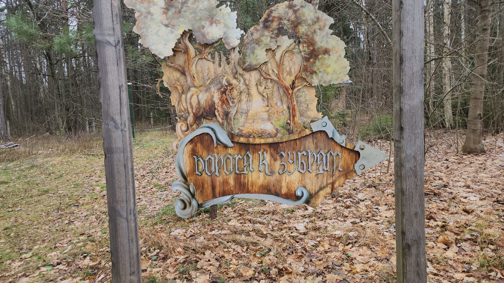 серпухов, подмосковье, зубры, усыновить зубра, центральный зубровый питомник,приокско-террасный заповедник,