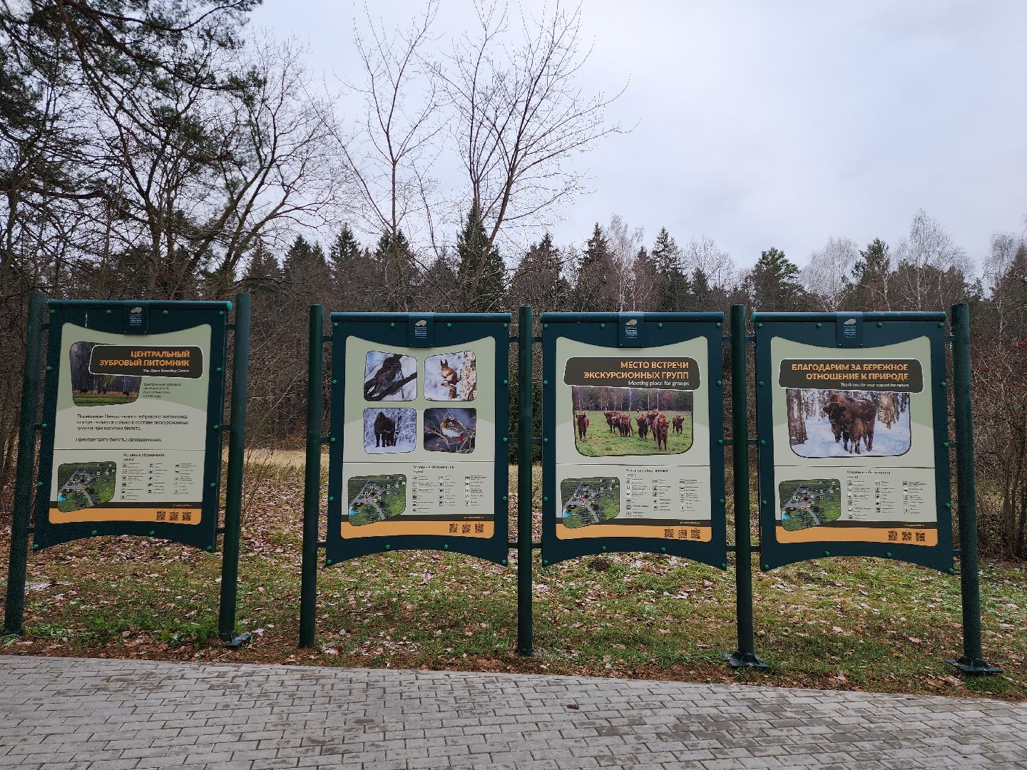 серпухов, подмосковье, зубры, усыновить зубра, центральный зубровый питомник,приокско-террасный заповедник,
