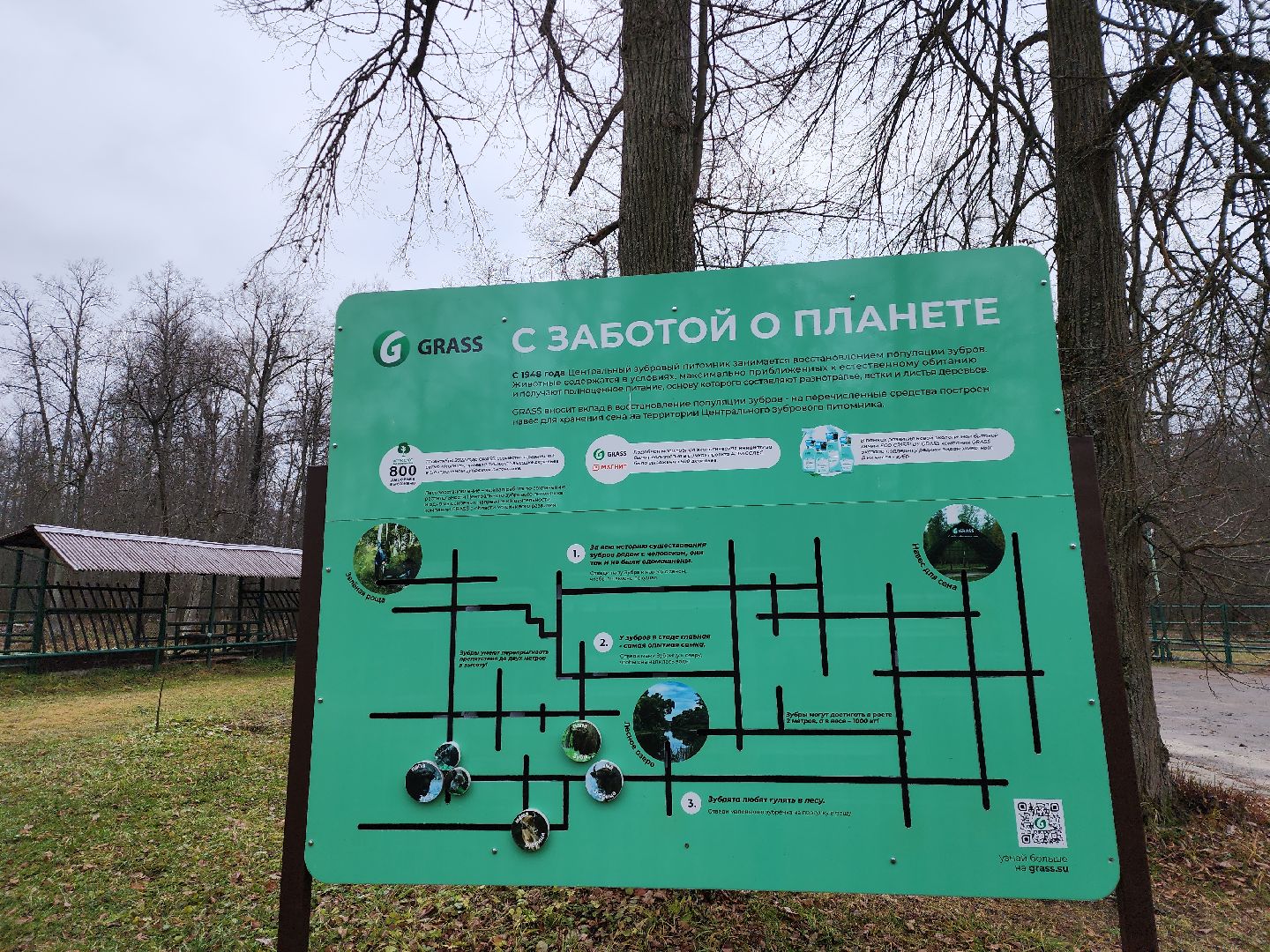 серпухов, подмосковье, зубры, усыновить зубра, центральный зубровый питомник,приокско-террасный заповедник,