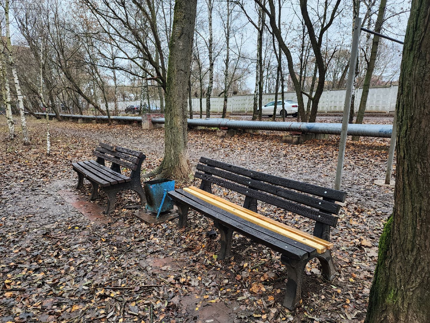 Одинцово, благоустройство, план добрых дел, вертикалка, вертикальное видео,