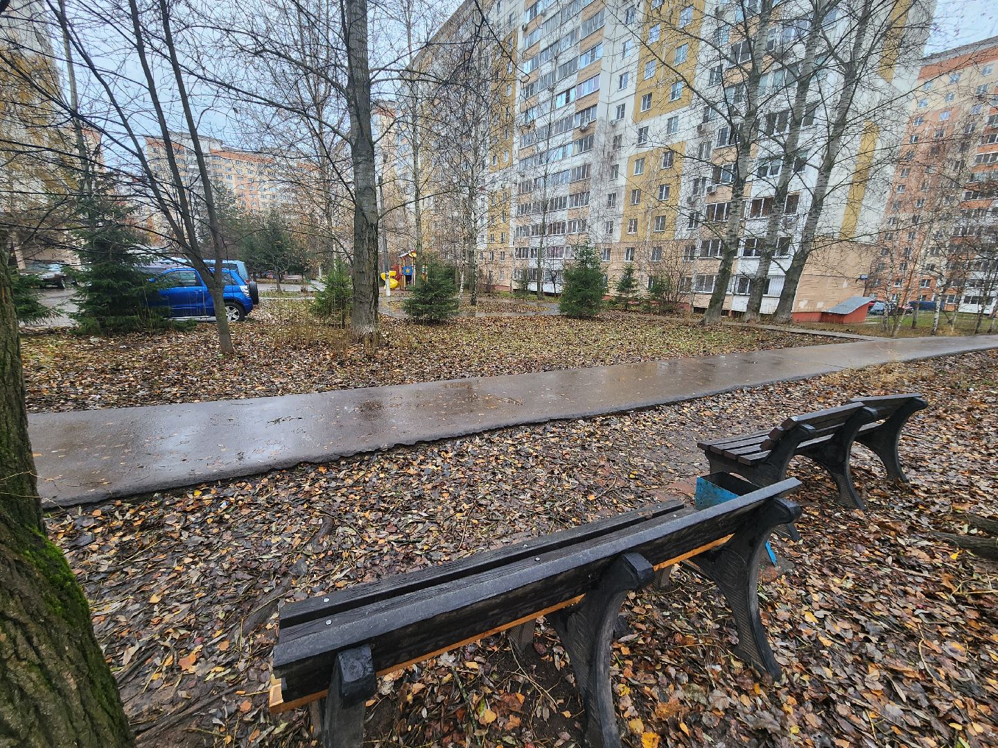 Одинцово, благоустройство, план добрых дел, вертикалка, вертикальное видео,