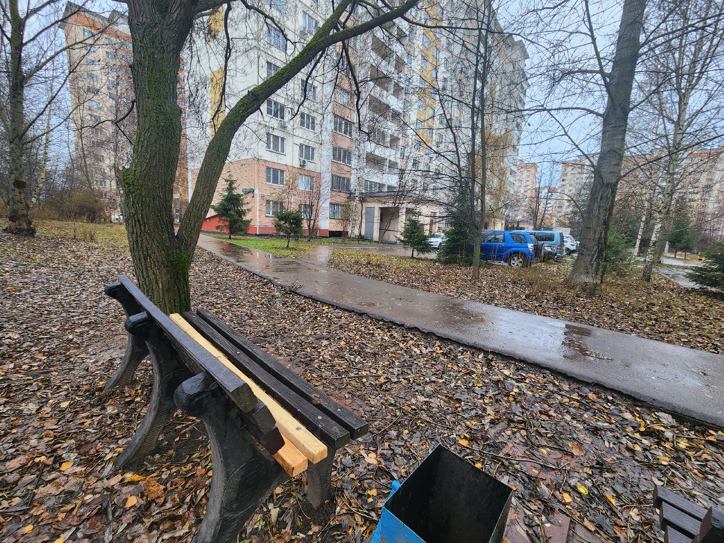 Одинцово, благоустройство, план добрых дел, вертикалка, вертикальное видео,