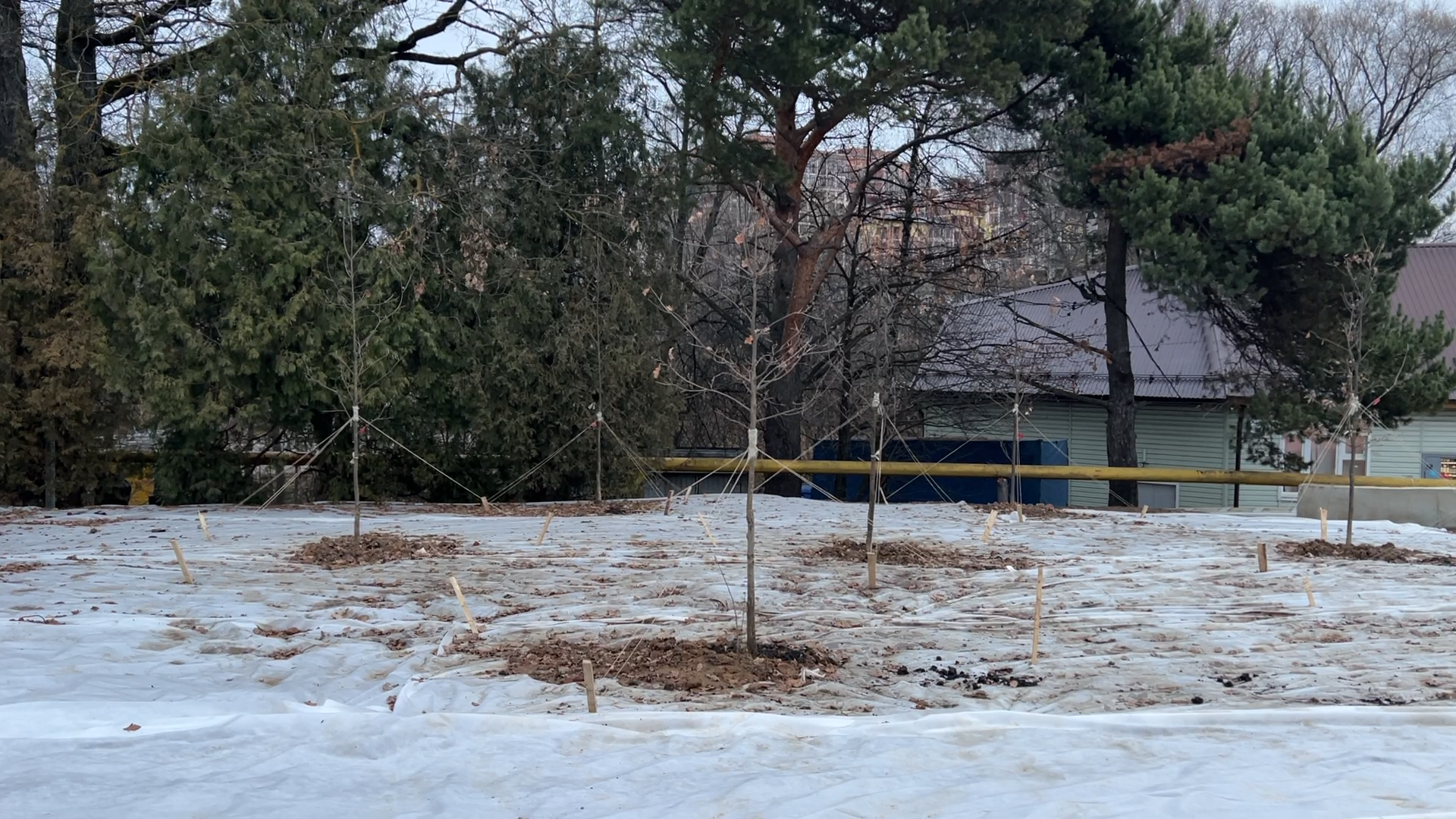 благоустройство территории, власиха КПП-2,Власиха КПП Солнечная, общественная территория, день РВСН,