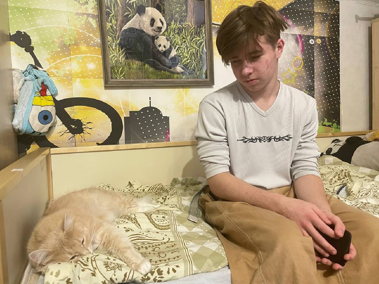 Дмитров, Приемная семья, Минсоцзащиты,