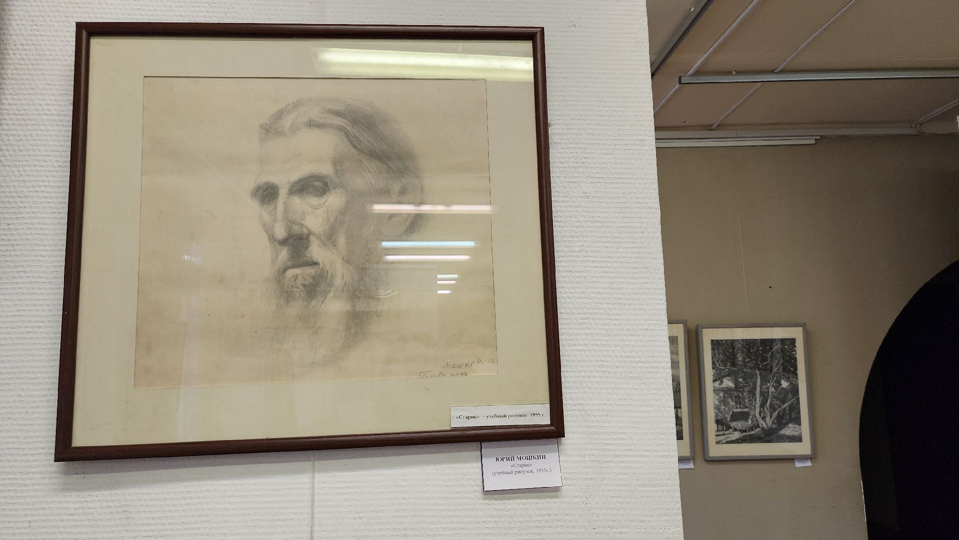 Союз художников России, искусство, Ногинский дом художника, Богородский городской округ, вертикалки