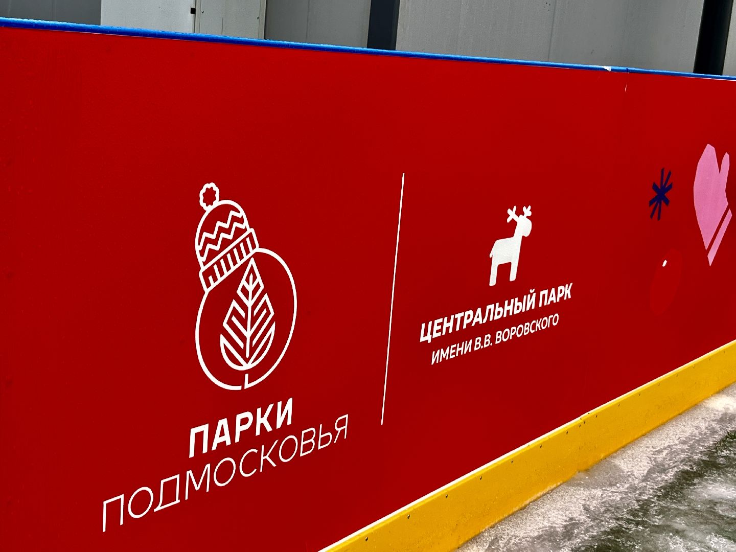 вертикальное видео, вертикалка, центральный парк наро-фоминска, наро-фоминский городской округ, каток в парке, зима в подмосковье,