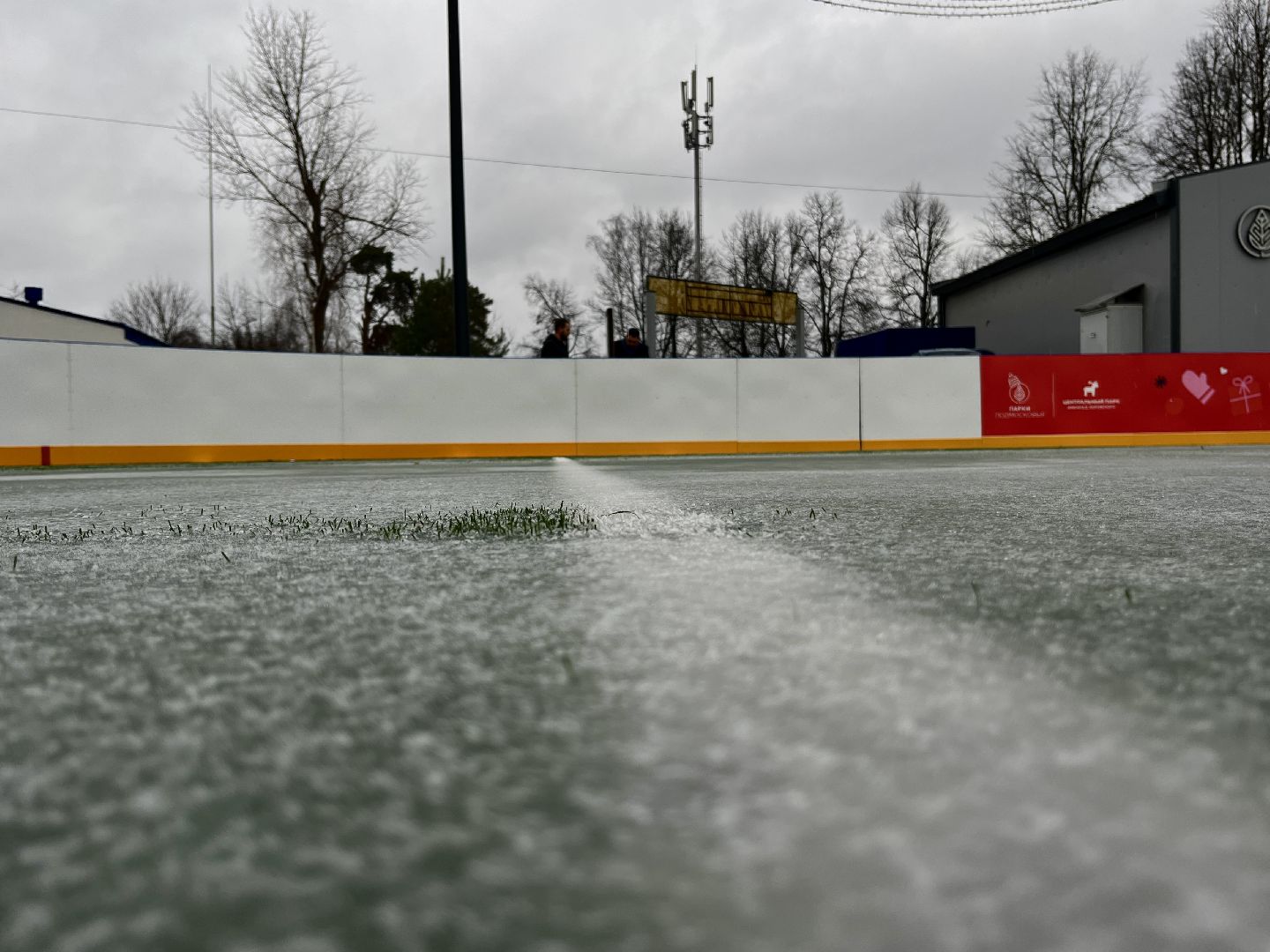 вертикальное видео, вертикалка, центральный парк наро-фоминска, наро-фоминский городской округ, каток в парке, зима в подмосковье,