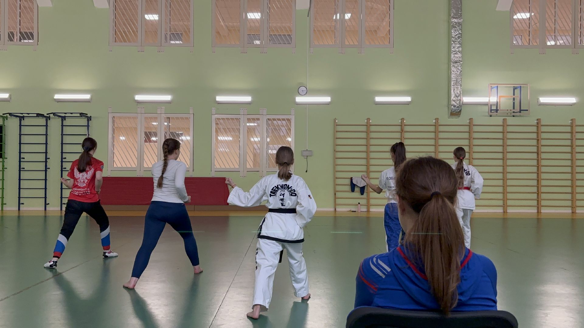 тхэквондо, спорт, кубок мира,Балашиха,