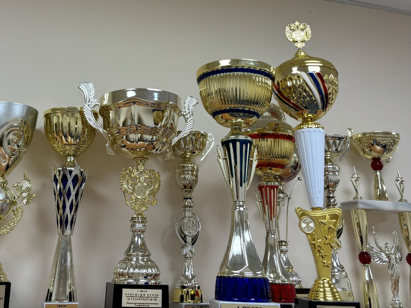 тхэквондо, спорт, кубок мира,Балашиха,