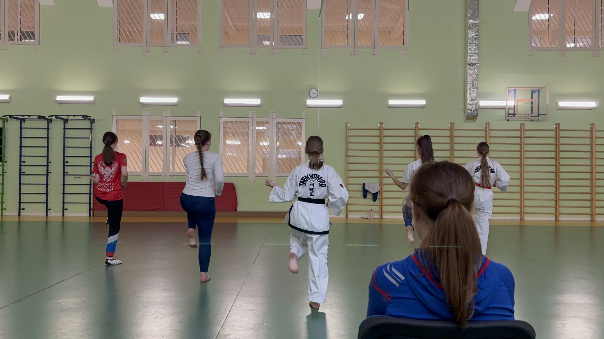 тхэквондо, спорт, кубок мира,Балашиха,