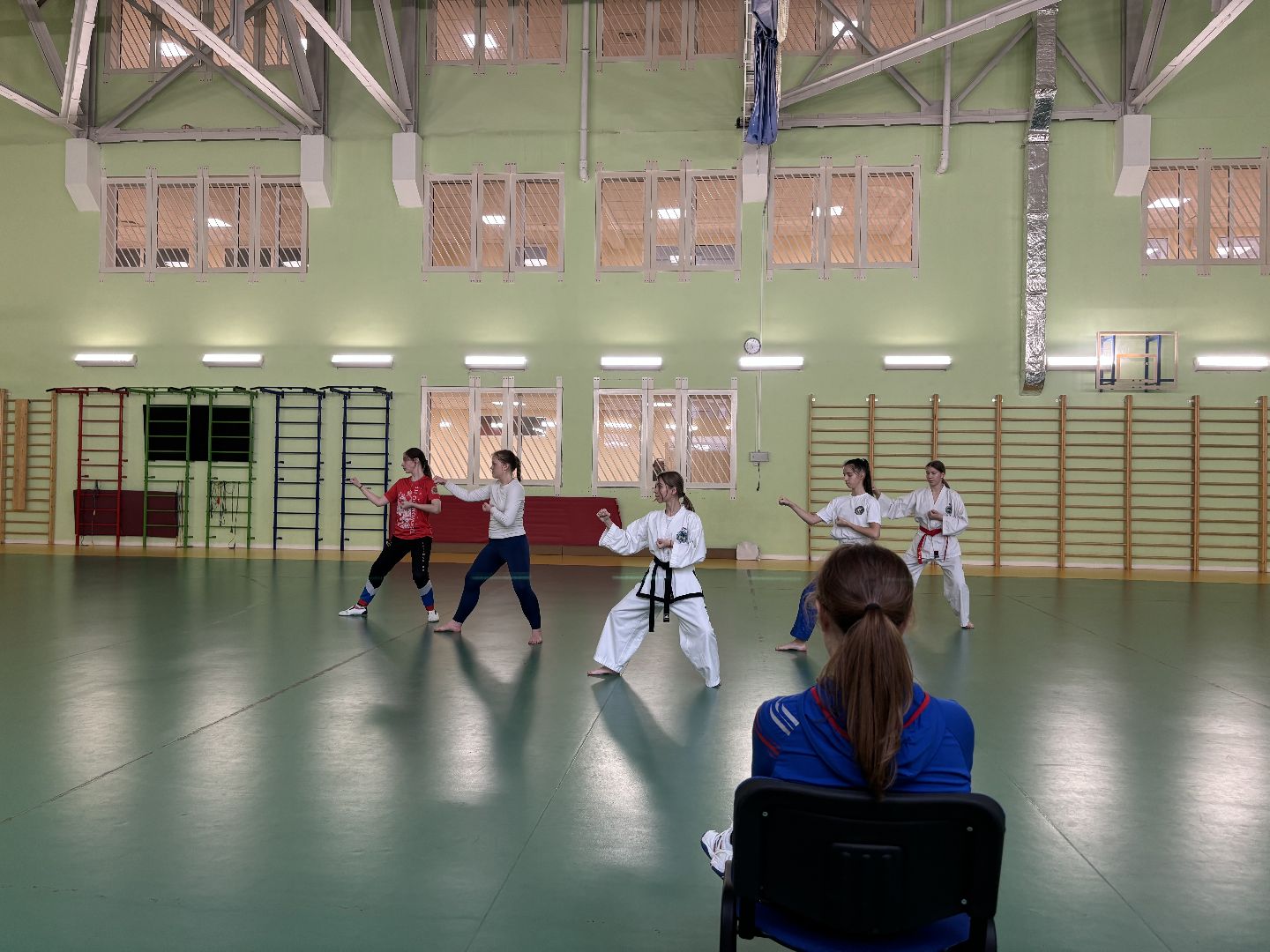 тхэквондо, спорт, кубок мира,Балашиха,