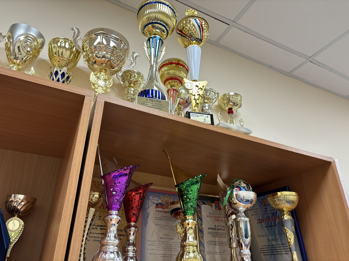 тхэквондо, спорт, кубок мира,Балашиха,