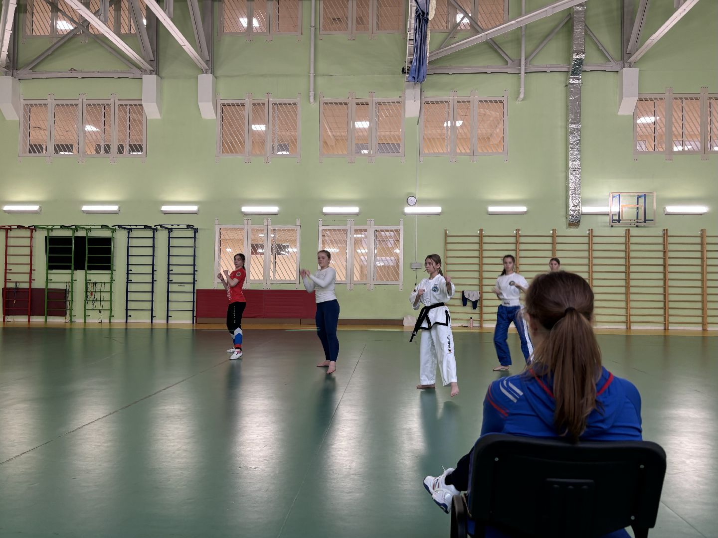 тхэквондо, спорт, кубок мира,Балашиха,