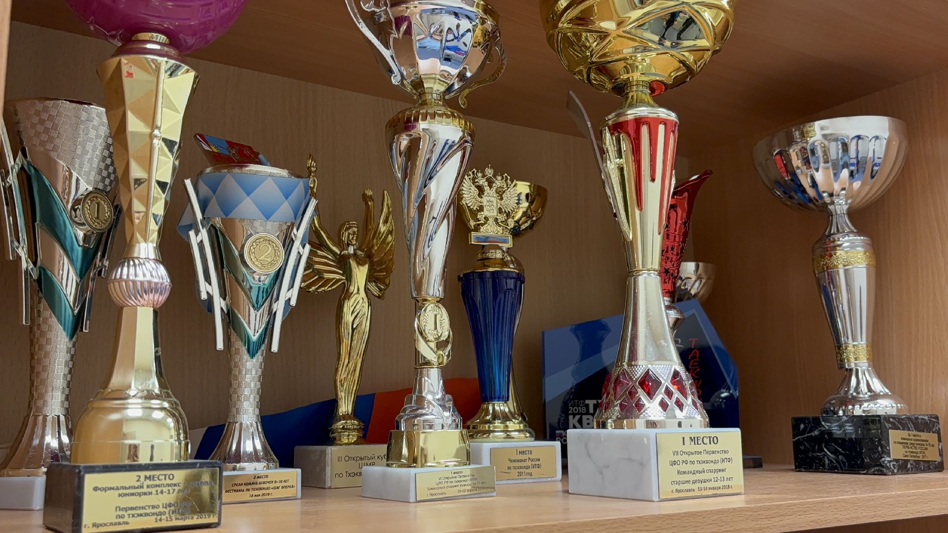 тхэквондо, спорт, кубок мира,Балашиха,