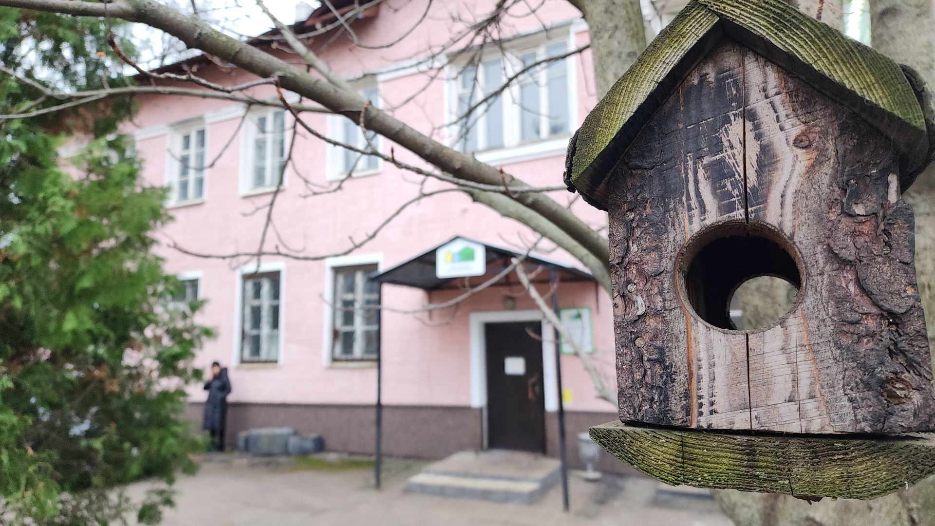 электросталь, жители города, обращения жителей, коммунальная служба, дворники, коммунальщики, жкх, жкх подмосковья, уборка городских территорий, уборка дворов, уборка детских площадок, вертикалки