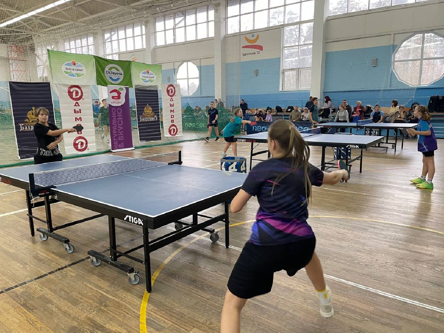 Дмитров, Спорт, Настольный теннис,