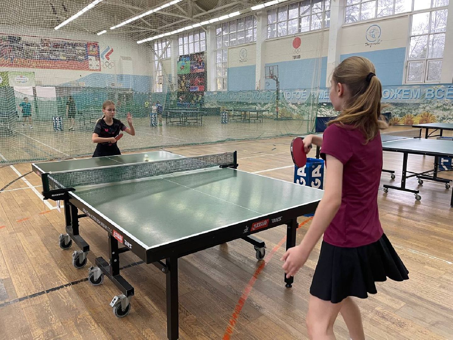 Дмитров, Спорт, Настольный теннис,
