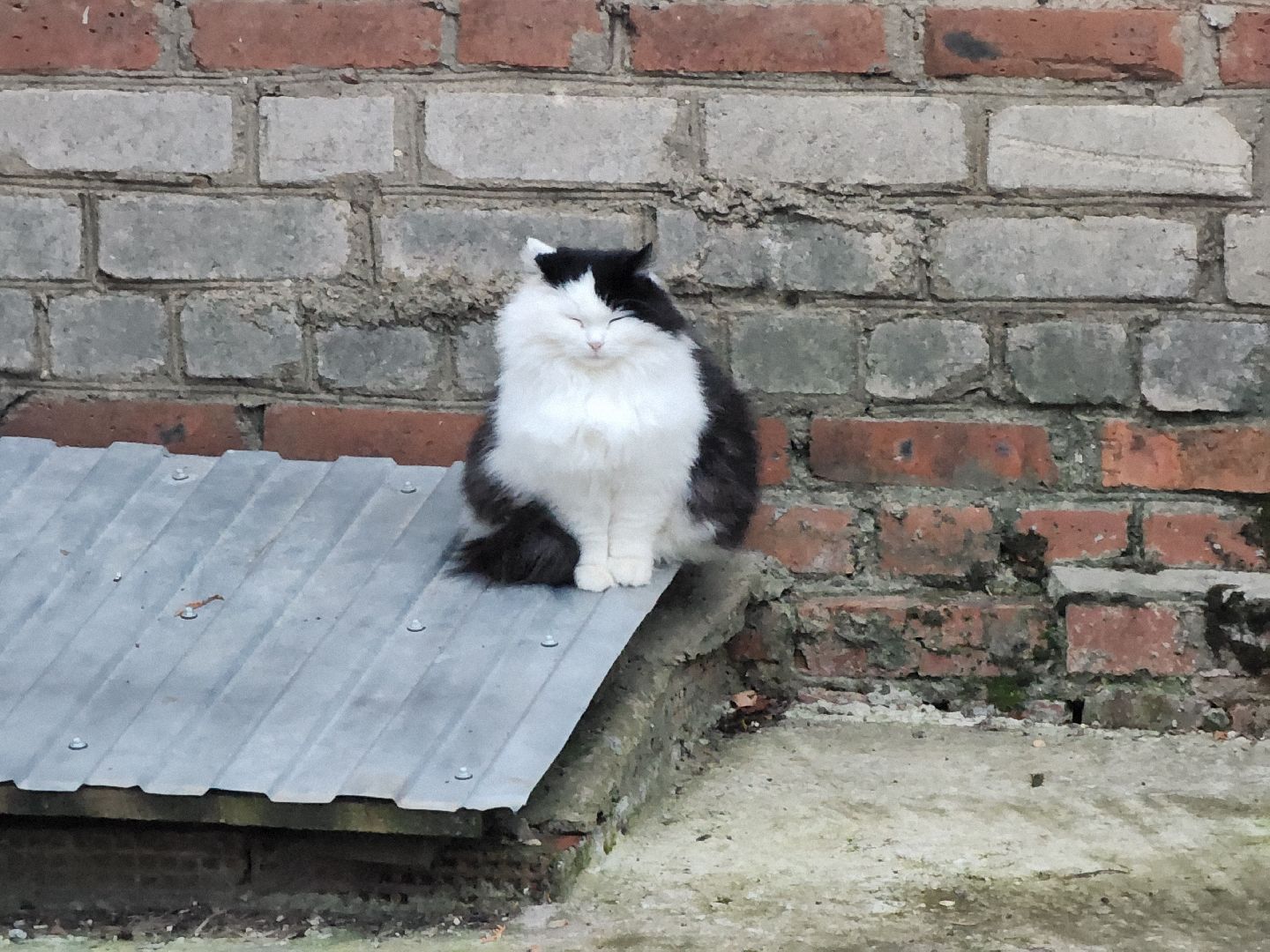 Зарайск, благоустройство, дворовая территория, вертикалка,