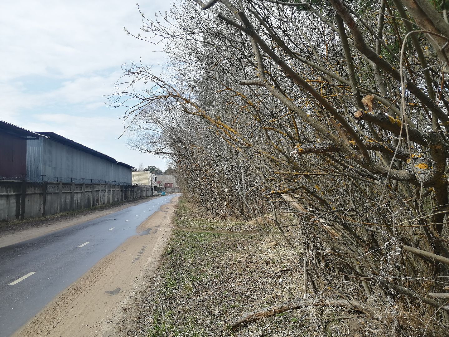 экология, порядок, благоустройства, деревья, Протвино