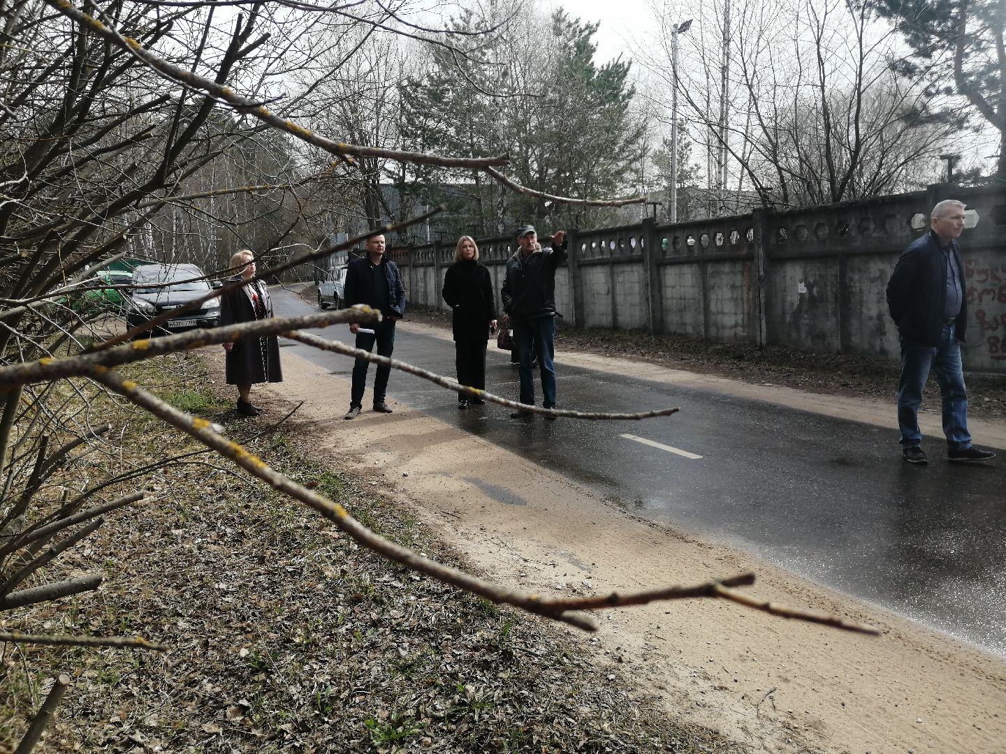 экология, порядок, благоустройства, деревья, Протвино