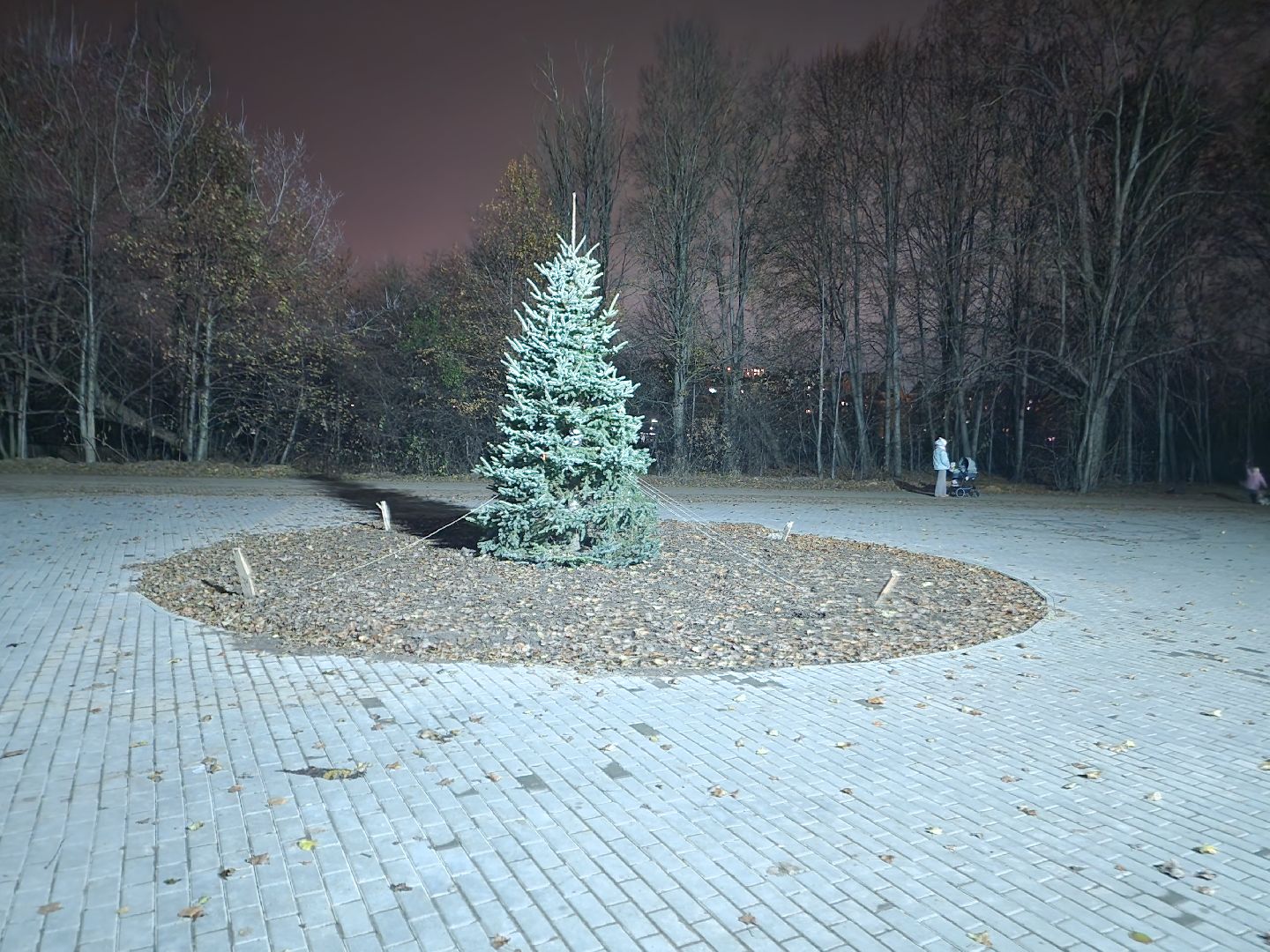 долгопрудный, бригантина, мангальная зона, шашлыки, ёлка, вертикалки,