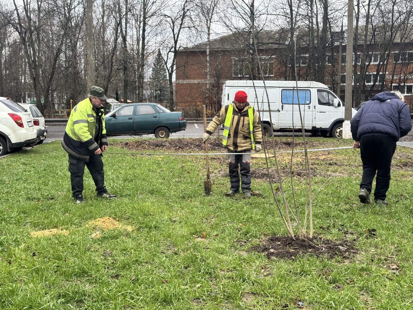 шаховская, посадка деревьев, коммунальная служба, вертикалки,