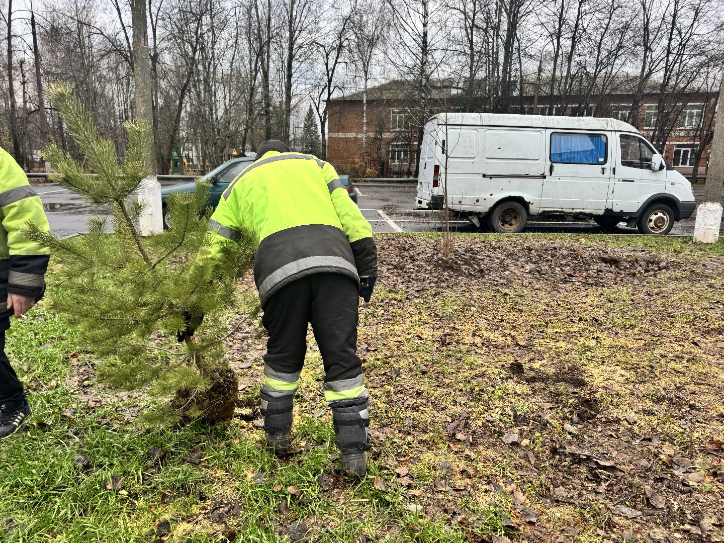 шаховская, посадка деревьев, коммунальная служба, вертикалки,