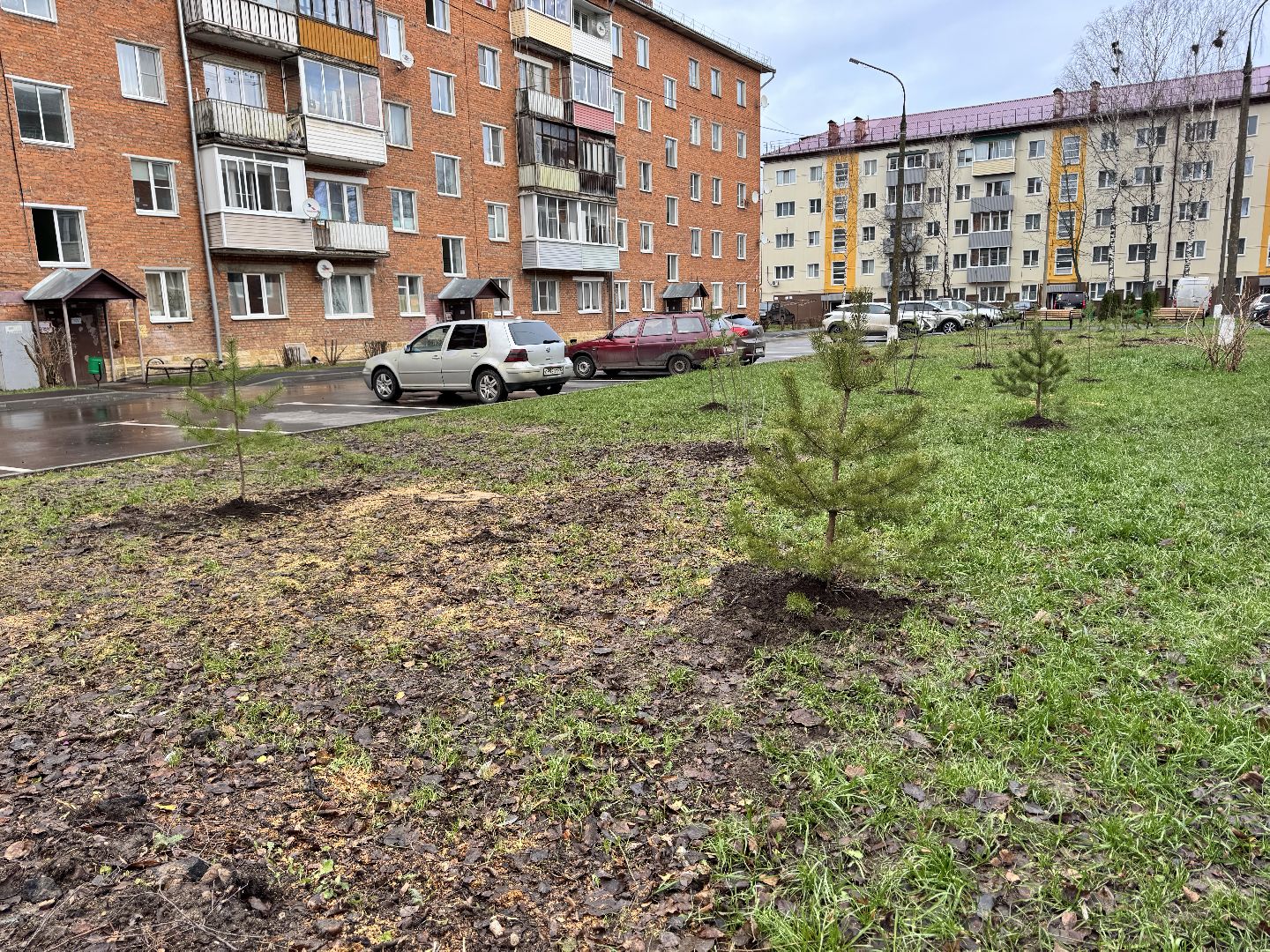 шаховская, посадка деревьев, коммунальная служба, вертикалки,