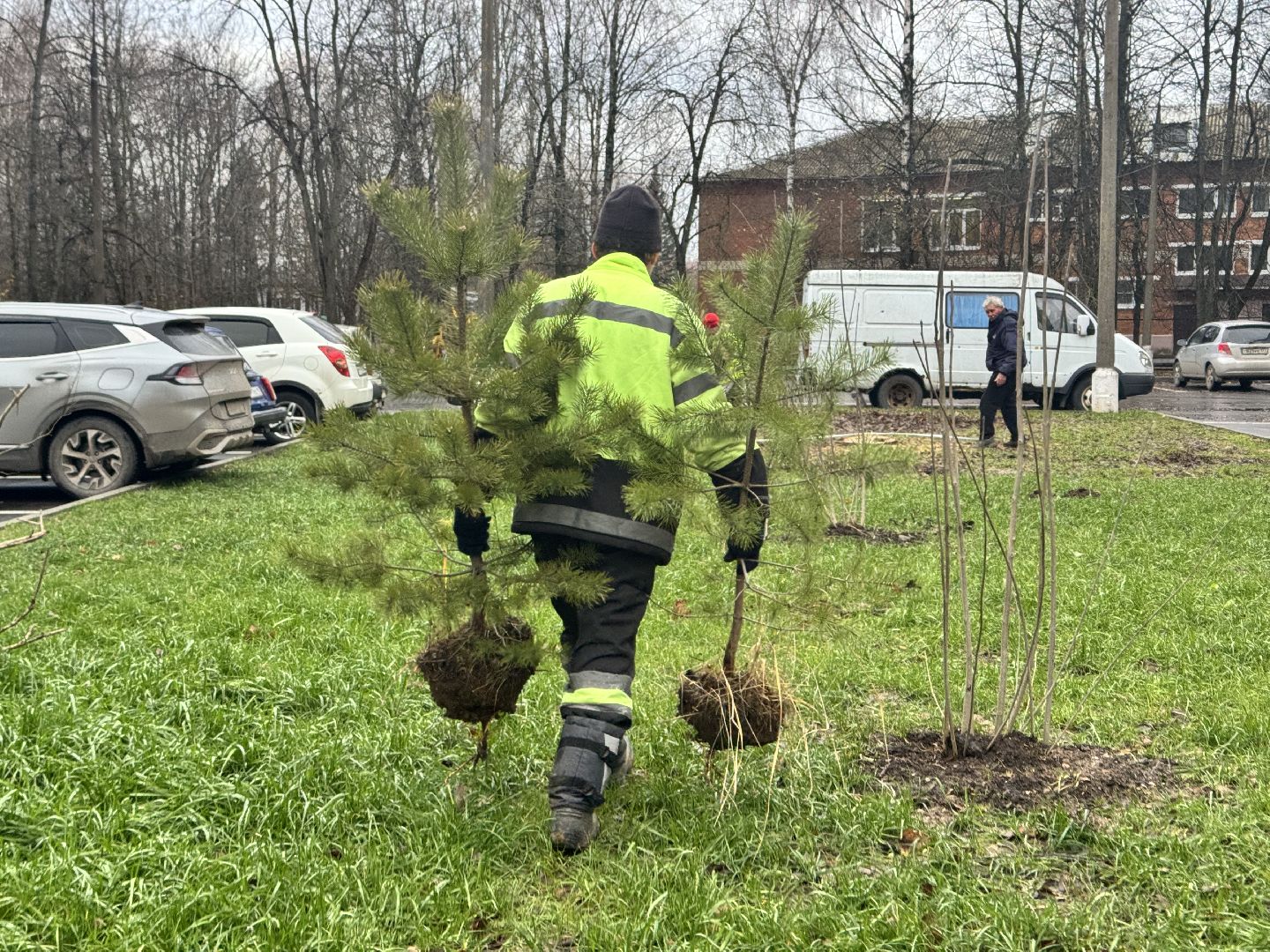 шаховская, посадка деревьев, коммунальная служба, вертикалки,